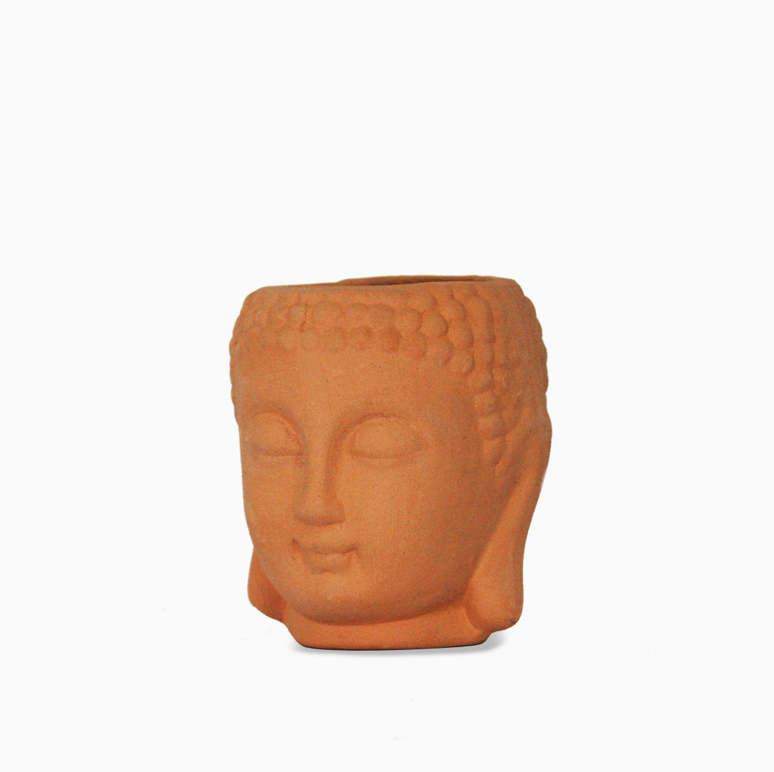 Maceta cabeza de Buda