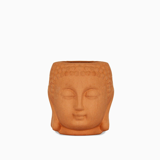 Maceta cabeza de Buda